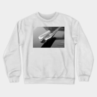 Flying Crewneck Sweatshirt